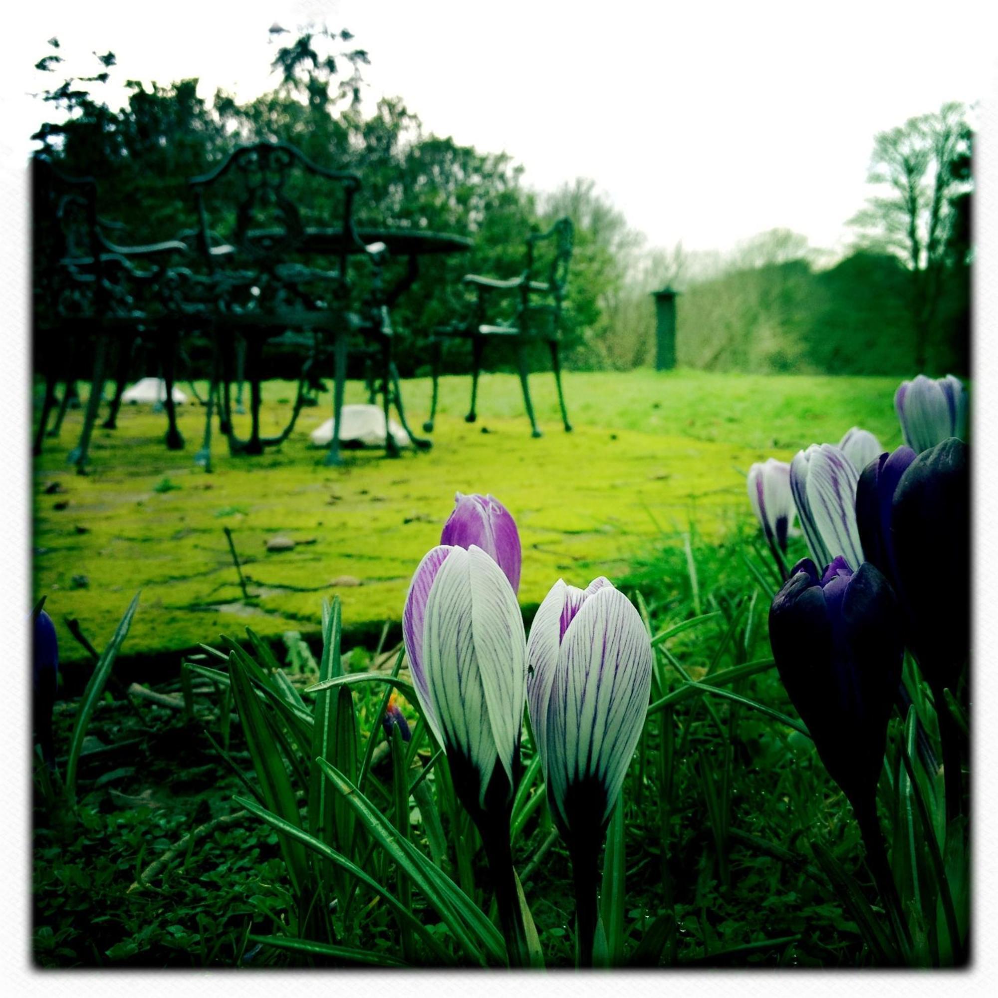 The Lake Country House Hotel & Spa Llangammarch Wells ภายนอก รูปภาพ